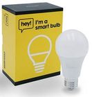 Hey! Smart Bulb