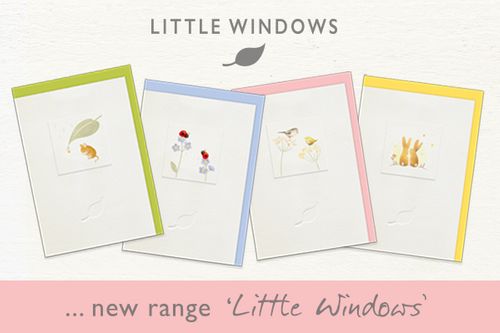 New 'Little Windows' Collection