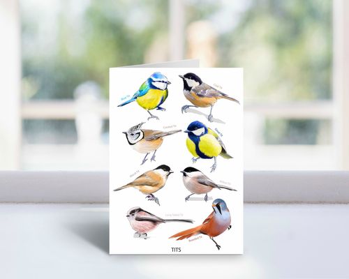 Tits greetings card