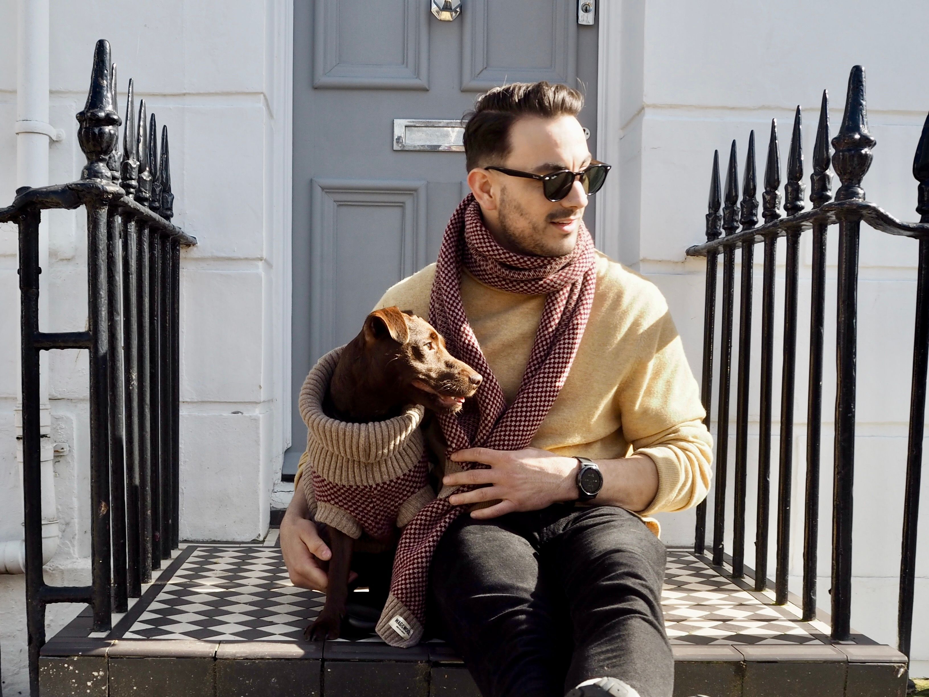 Burgundy Dog Jumper & Matching Scarf