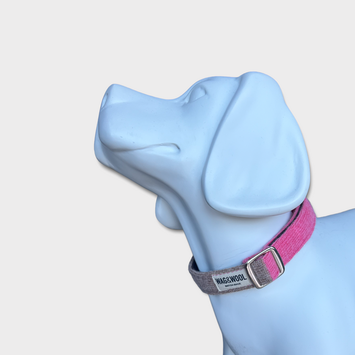 Pink Dog Collar & Lead Set
