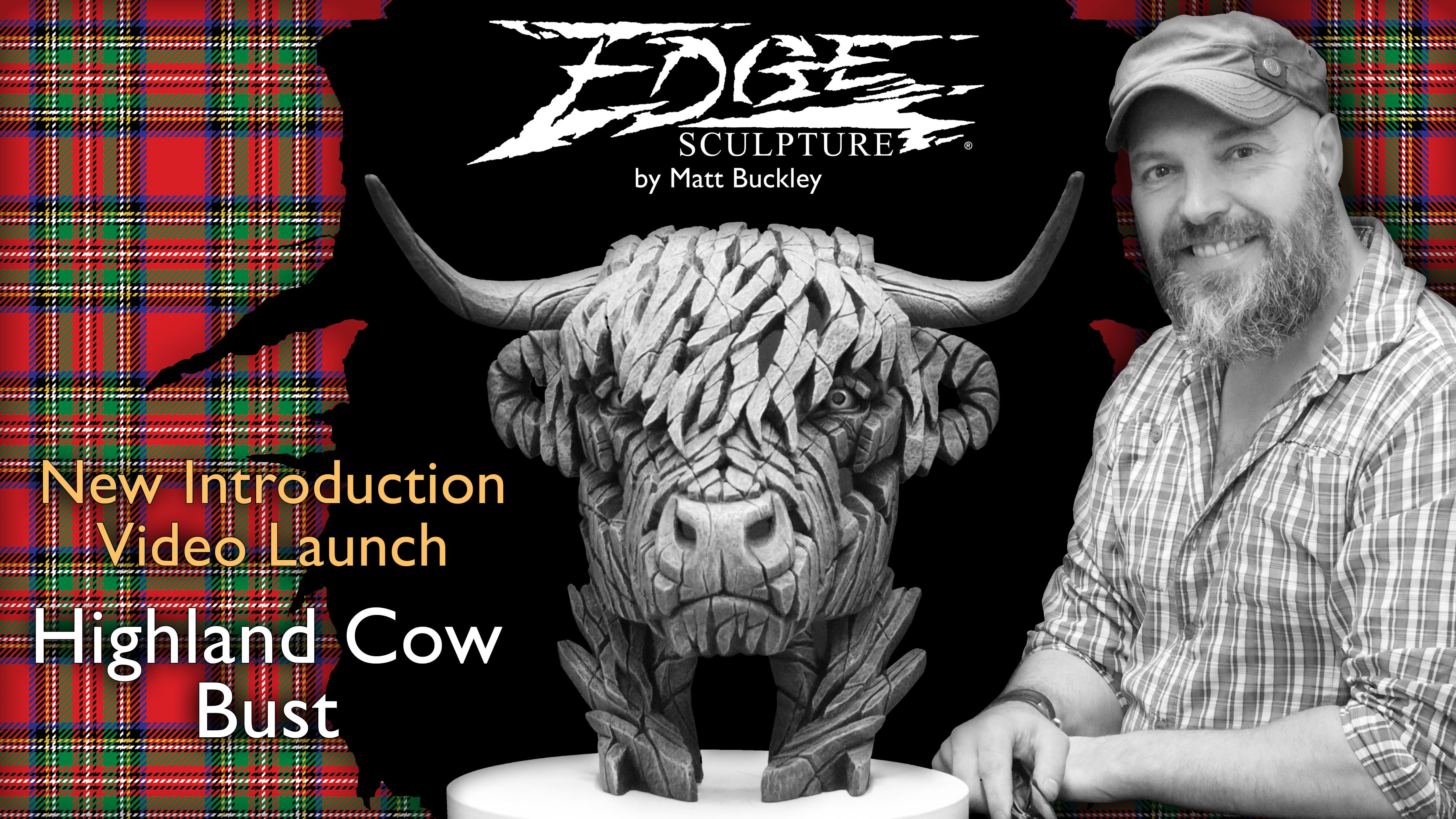 Highland Cow Sculpture - Edge Sculpture Bust - Scottish Bull - New Introduction Presentation