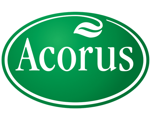 Acorus Calamus