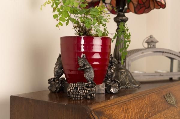 Success Story: Jardinopia