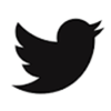 Twitter icon