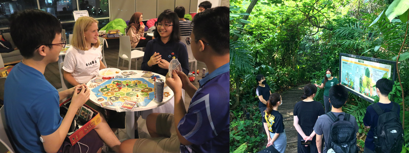 Game Night and Nature Education Programme