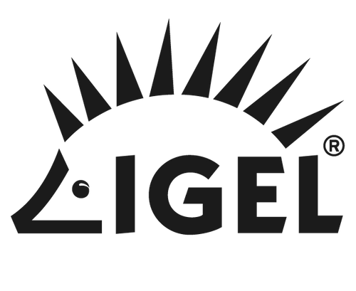 IGEL Technology Ltd