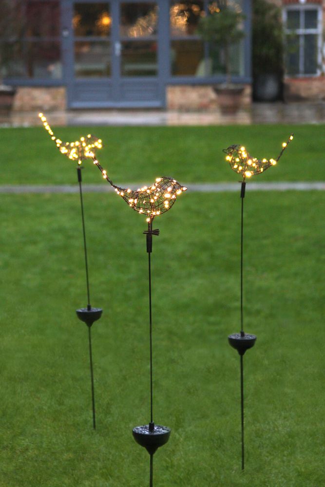 Solar Robin - Autumn Fair 2026