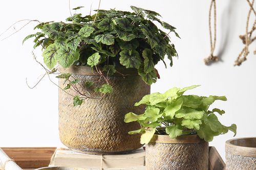 INDOOR PLANT POTS