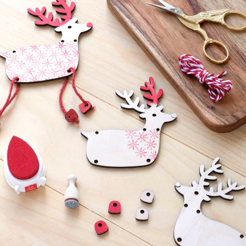 Reindeer Craft Kit