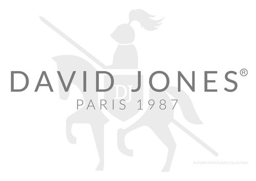 David Jones AW25