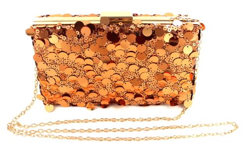 Autumn Winter 2025 Evening Bag Collection