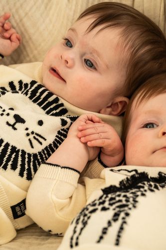 Fable & Bear - Autumn 2026