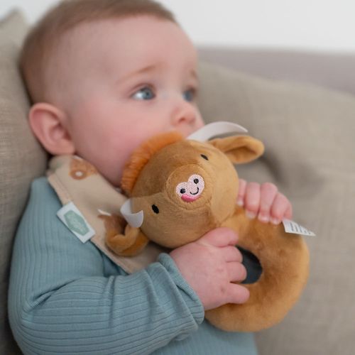 Ziggle Everyday Catalogue 2025