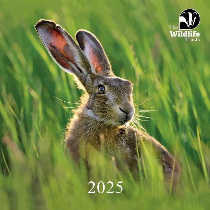 The Wildlife Trusts