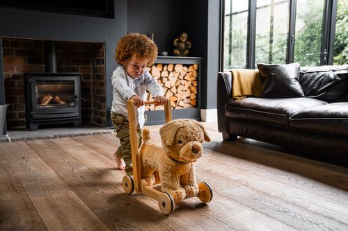 Baby Walkers/Push Along Toys