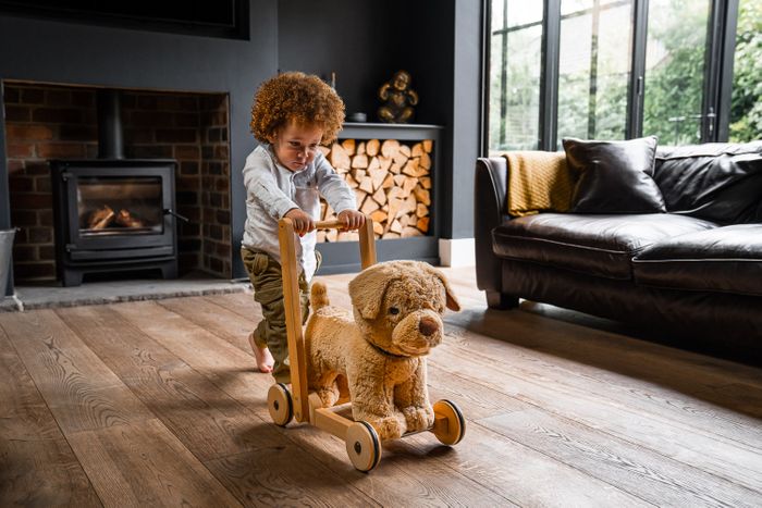 Baby Walkers/Push Along Toys