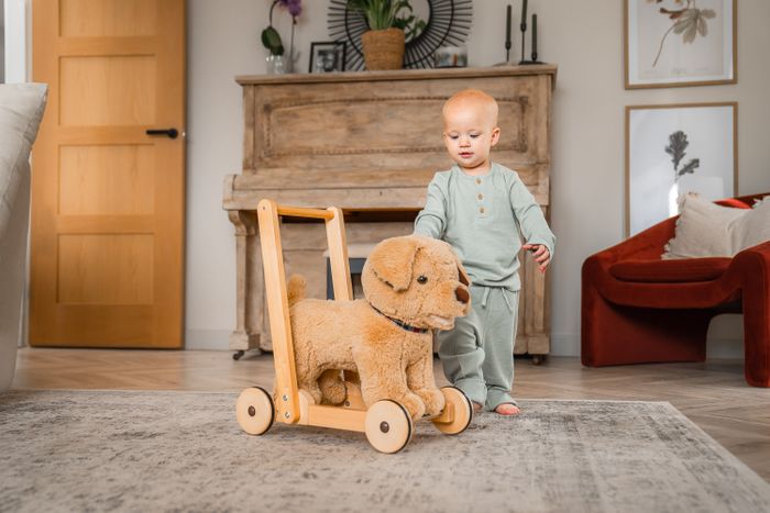 Baby Walkers/Push Along Toys