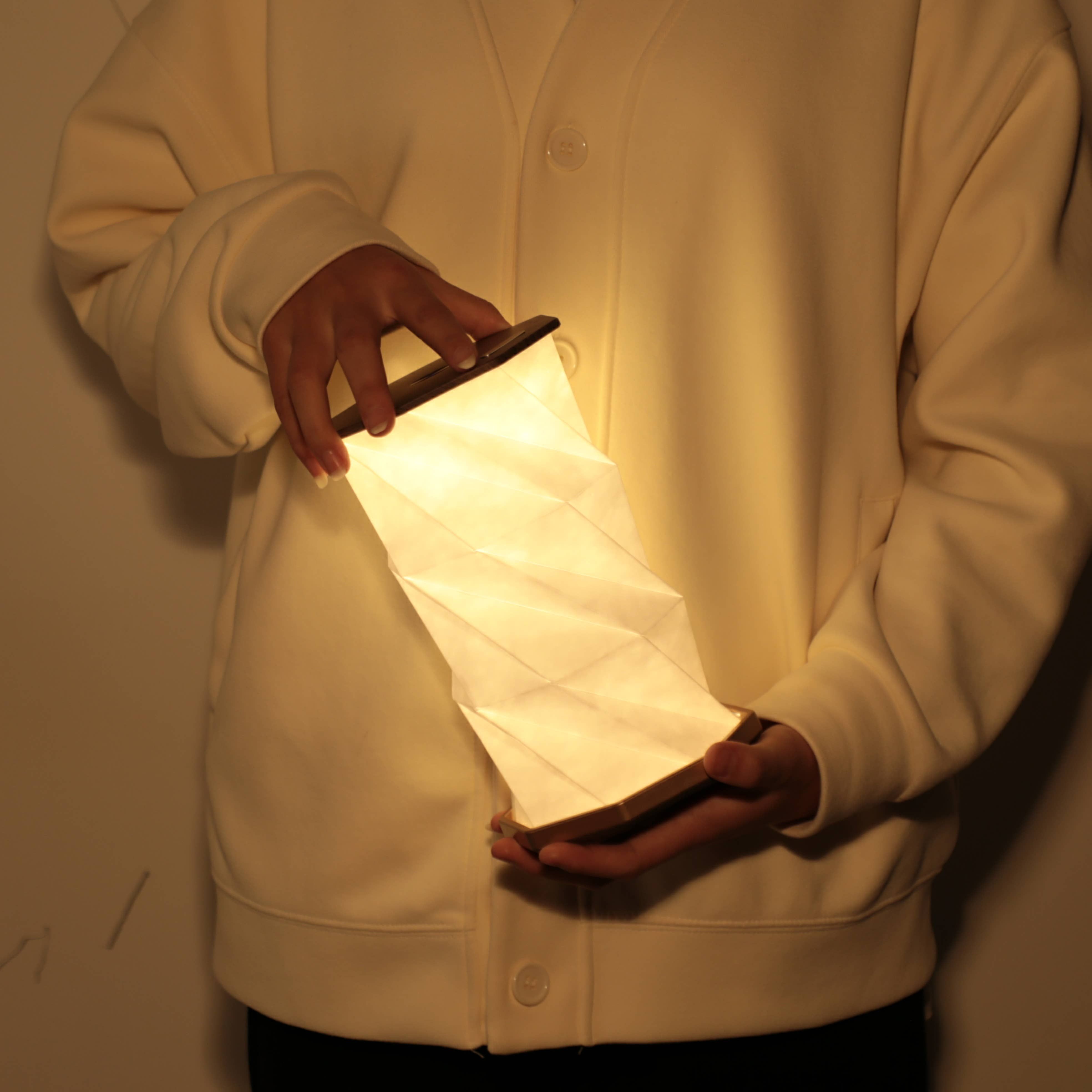 Gingko Twist Hexagon Lamp