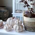 Lanterns & Pumpkins - Autumn Favourites