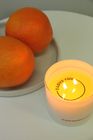 Blood Orange & Grapefruit 250g Candle