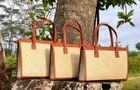 Beach to Boardroom Tote/Day Bags  [code BBP123]