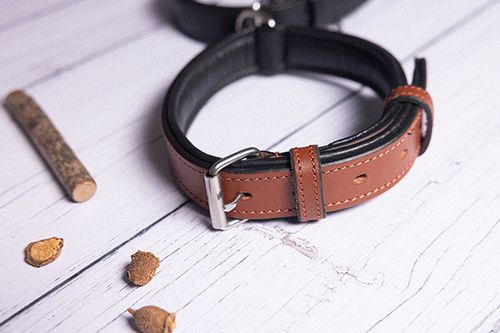 Leather Dog Collars