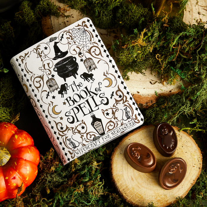 The Book of Spells! Chocolate Truffles