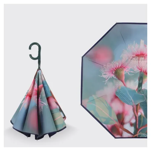 Upside Down Umbrella