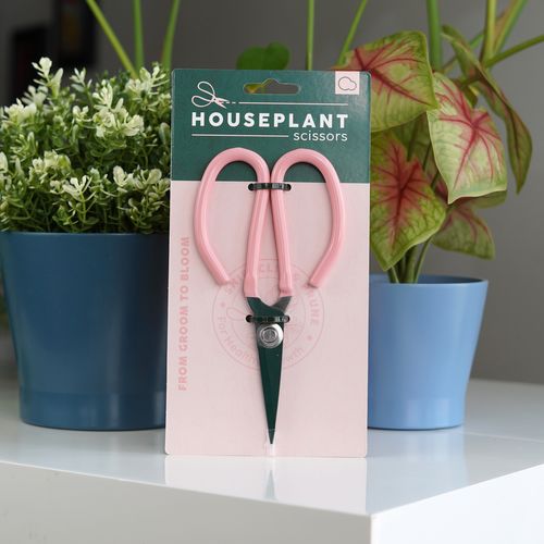 Houseplant Scissors