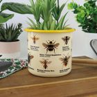 AW24 - Ecologie - Bees Enamel Plant Pot