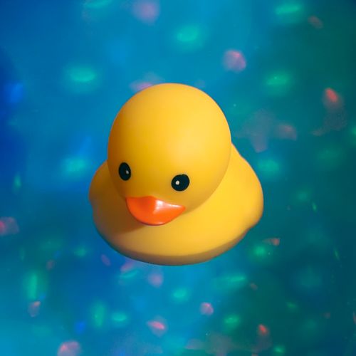 AW24 - Boogie Bath Duck