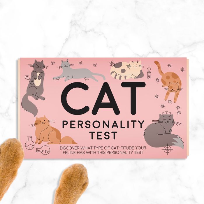 AW24 - Cat personality Test