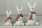 Christmas Novelty Decorations