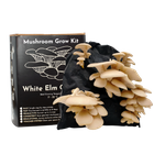 White Oyster Mushroom Growing Kit