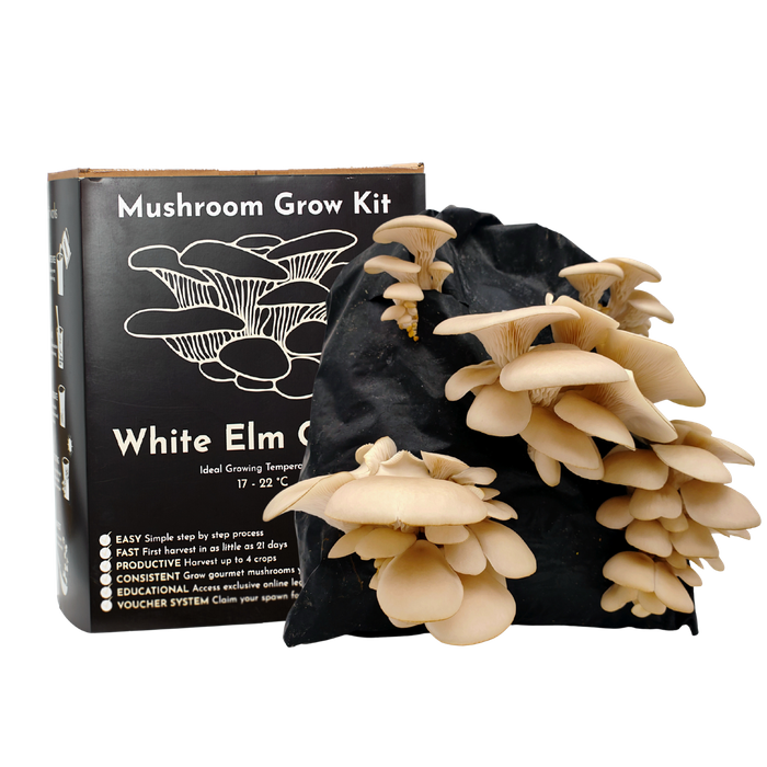 White Oyster Mushroom Growing Kit