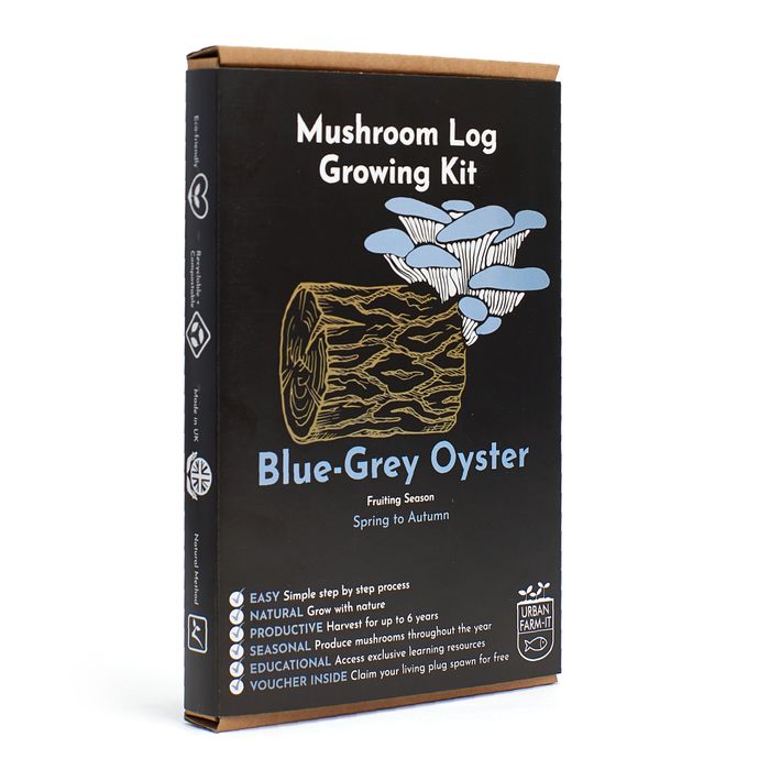 Blue-Grey Oyster Mushroom Log Growing Kit