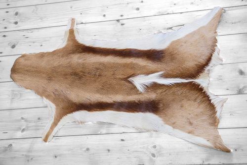 SPRINGBOK HIDE RUG