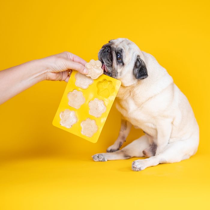 Doggy Ice Cream Kit