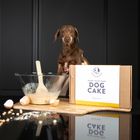 DOG CAKE MIX + RECIPE