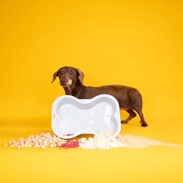 BONE-SHAPED CAKE TIN