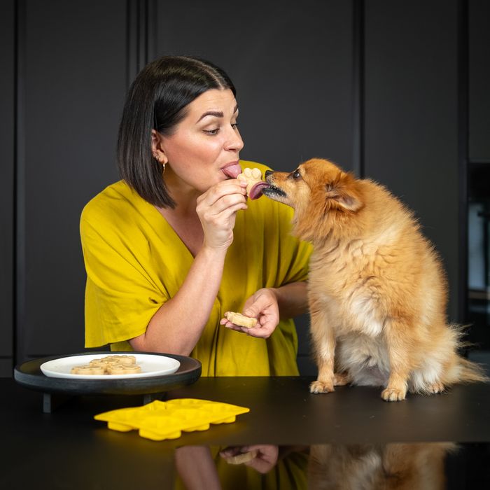 Doggy Ice Cream Mix