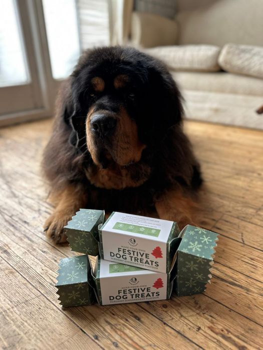 FESTIVE DOG TREATS CRACKER: Scrummy Gingerbread Flavour