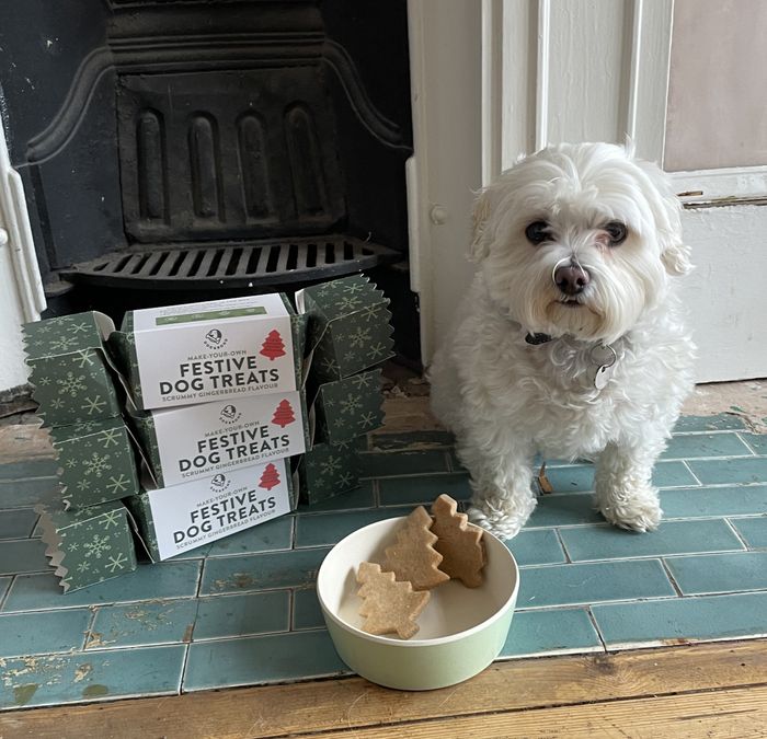 FESTIVE DOG TREATS CRACKER: Scrummy Gingerbread Flavour