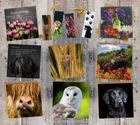 Greeting Cards and Gifts