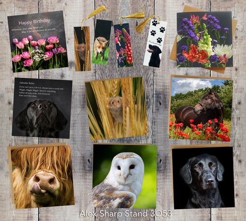 Greeting Cards and Gifts
