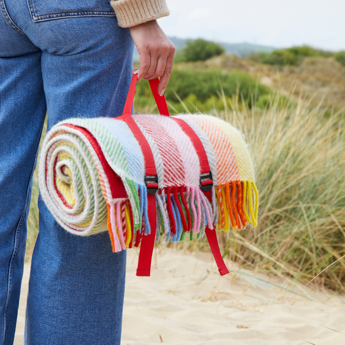 Picnic Rugs