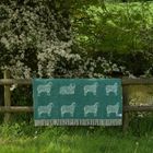 Wool Throws