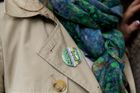 Magnetic Brooches