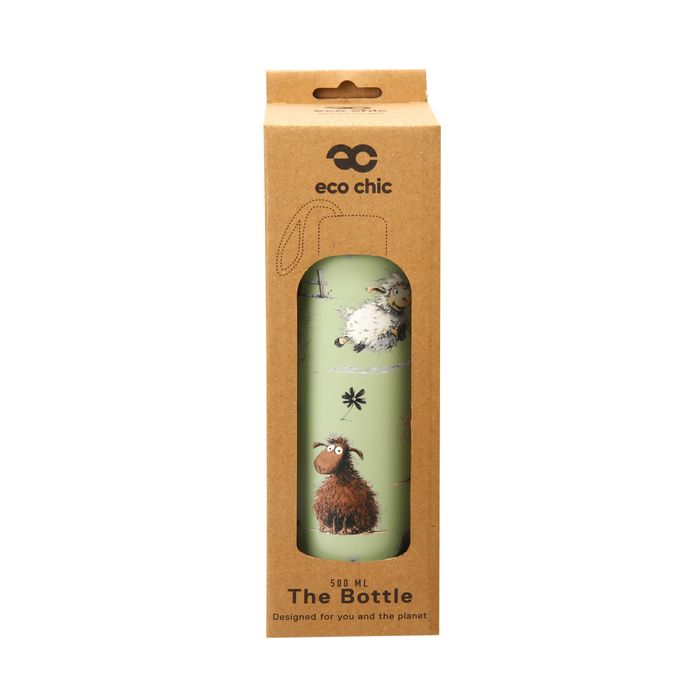 Thermal Bottles